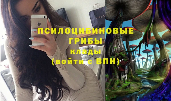 MDMA Premium VHQ Бородино