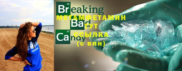 прущие грибы Тихвин